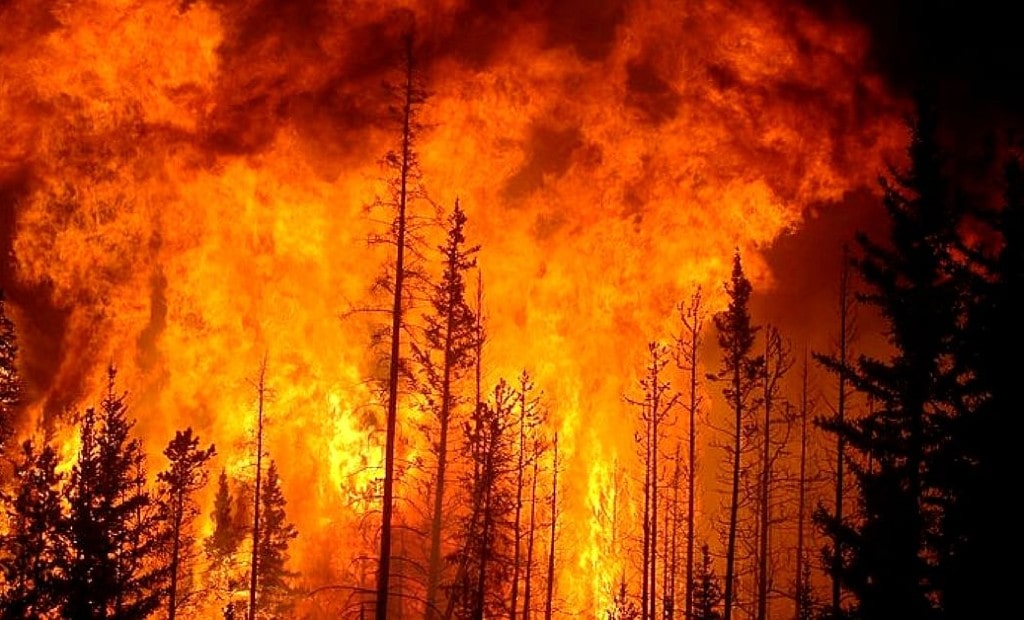 To-aid-rescue-operations-during-the-Tamil-Nadu-forest-fire-the-Madras-Institute-of-Technology-deployed-drones.-min (1)-min